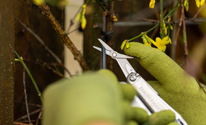 Translation missing: de.Close-up of hands using a Stainless Steel Leatherman Wave® Plus scissors to cut a zip tie in a garden